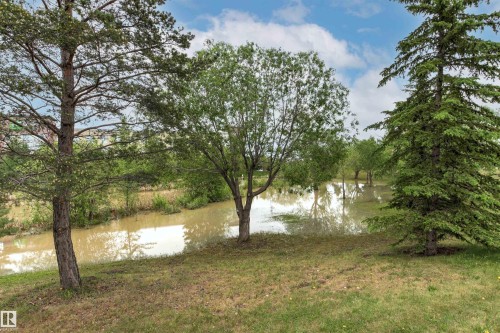 Grassed yard area featuring diverse mature trees and a body of water with reflections - 32 Lamplight Bay, Spruce Grove, AB 