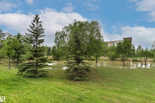 Expansive green space featuring mature trees and a natural water feature - 32 Lamplight Bay, Spruce Grove, AB 