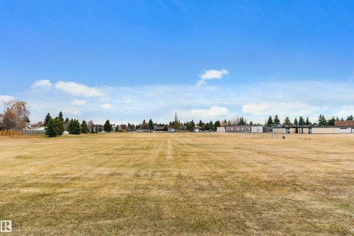 Expansive open field with natural grass, bordered by mature evergreen trees and distant residential structures - 3103 109 Street, Edmonton, AB 