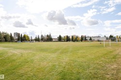 Expansive green space featuring large grassy areas, perimeter trees, and neighborhood buildings in the background - 