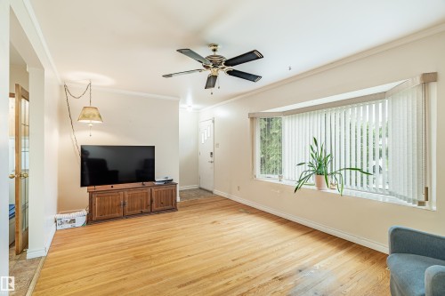 Living area featuring wood-finish flooring, a multi-pane bay window with vertical blinds, a ceiling fan with integrated lighting, and crown molding - 9011 60 Street, Edmonton, AB 