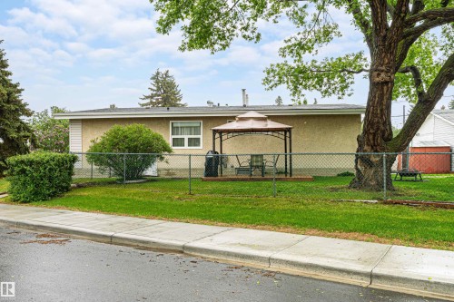 Expansive front yard featuring a chain-link fence, mature trees, and established landscaping - 9011 60 Street, Edmonton, AB 