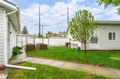 Expansive backyard featuring a manicured lawn, concrete pathway, two raised garden beds, and a young deciduous tree - 9011 60 Street, Edmonton, AB 