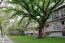 Mature trees provide a natural canopy over the property - 205 14903 92 Avenue Nw, Edmonton, AB 