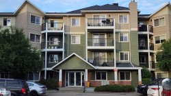 211 6925 199 Street  Edmonton, AB T5T 3X8