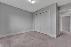 Neutral gray walls complement the light taupe carpeting - 