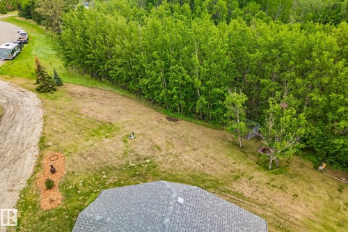 Expansive sloped property featuring a shingle roofline, mature evergreen trees, and a densely wooded perimeter - 14 53122 Rge Road 14, Rural Parkland County, AB 