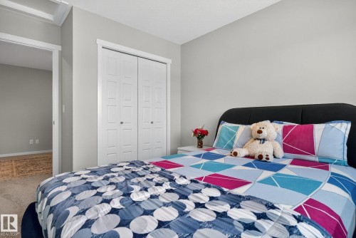 Carpeted room with light gray walls, white trim, and a white bi-fold closet - 1213 16A Street, Edmonton, AB 