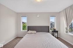 Neutral toned bedroom featuring light grey walls, white trim, and a textured carpet - 