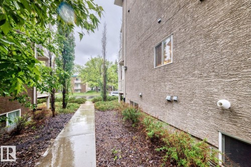Landscaped pathway between buildings, featuring mature trees and established shrubbery - 4 11917 103 Street, Edmonton, AB 