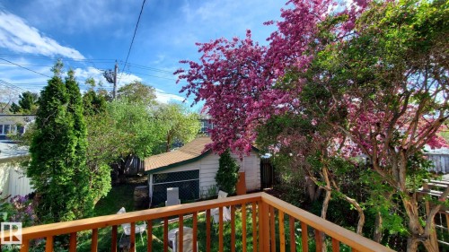 9929 88 Avenue, Edmonton, AB 