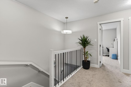 Upper-level landing featuring light gray painted walls, a contemporary pendant light fixture, and carpeted flooring - 33 Durrand Bend, Fort Saskatchewan, AB 