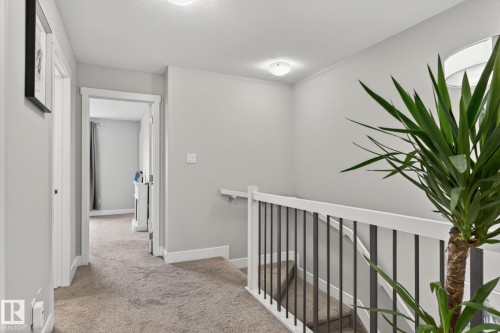 Upper hallway featuring light gray walls and plush carpeting - 33 Durrand Bend, Fort Saskatchewan, AB 