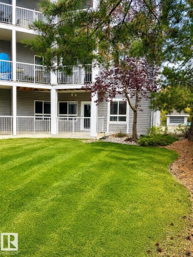 Manicured lawn with striped detailing, bordered by a planting bed with pine needles - 115 5340 199 Street, Edmonton, AB - Outdoor