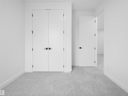 Freshly carpeted interior space with crisp white walls and white trim - 