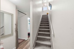 Carpeted staircase with white handrail ascending to an upper level - 