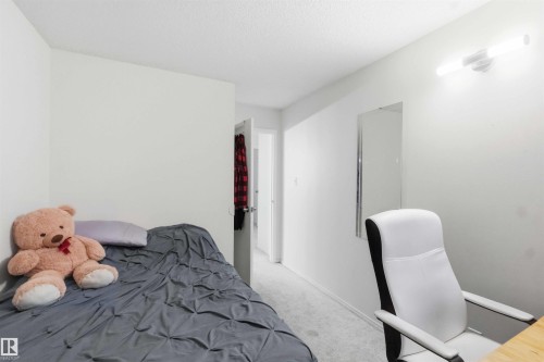 Light-toned carpeting and neutral wall paint define this interior space, featuring a mounted vanity mirror and an overhead light fixture - 203 11421 34 Street Nw, Edmonton, AB 