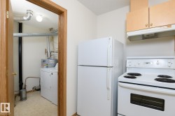 Kitchen area featuring light wood-finish cabinetry, a white refrigerator, and a white electric range with an overhead vent - 