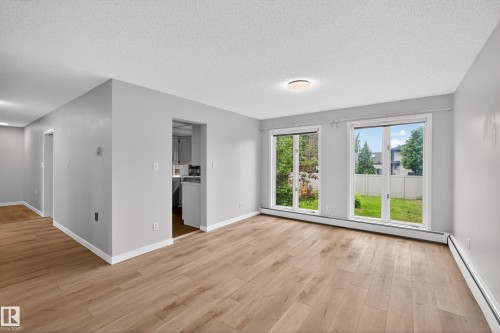 Bright living space featuring wood-finish flooring, two large windows, a flush-mount ceiling light, and a clean gray wall palette - 14808 55 Street, Edmonton, AB 