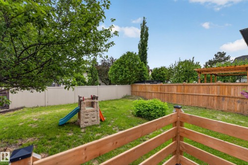 Expansive backyard featuring a manicured lawn, established trees, a light-colored privacy fence, and a wooden fence with a pergola structure - 14808 55 Street, Edmonton, AB 