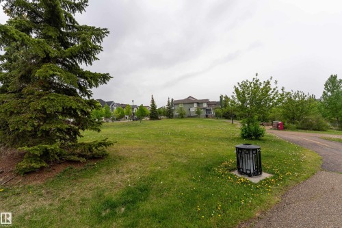 Expansive green space featuring mature trees and a paved pathway - 5964 South Terwillegar Boulevard, Edmonton, AB 