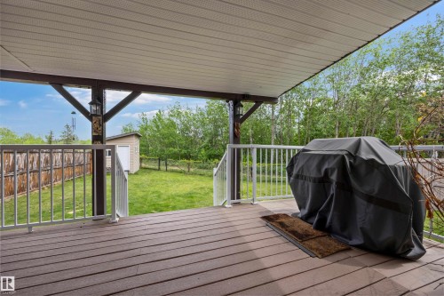 View from covered composite deck at backyard and ravine. - 57 Homestead Crescent, Edmonton, AB 