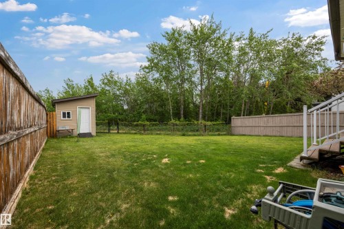 Backyard and ravine. - 57 Homestead Crescent, Edmonton, AB 