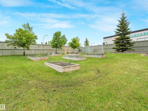 Expansive green lawn featuring multiple raised garden beds, mature trees, and a tall privacy fence - 1103 2 Augustine Crescent, Sherwood Park, AB 