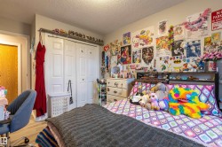 Image quality insufficient for description - 
