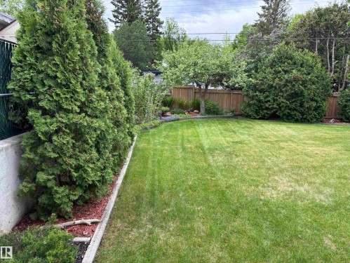 Expansive grassy yard featuring a wood fence, mature trees, and evergreen shrubs - 51 Glenmore Crescent, St. Albert, AB 