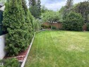 Expansive grassy yard featuring a wood fence, mature trees, and evergreen shrubs - 51 Glenmore Crescent, St. Albert, AB 