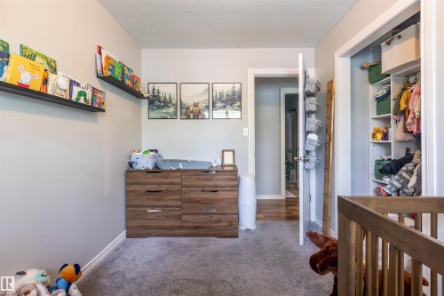 Carpeted room featuring built-in shelving, wood-finish flooring visible through the doorway, and a closet with custom organizational shelving - 33 Andrew Crescent, St. Albert, AB 