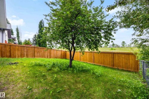 11815 8 Avenue, Edmonton, AB 
