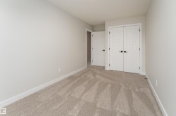 Neutral-toned walls complement the light-colored carpet with geometric patterning - 