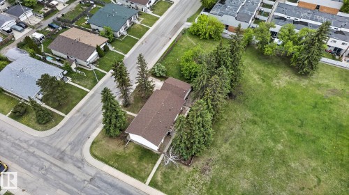 Corner lot property featuring a brown shingle roof and a row of mature evergreen trees - 13908 64 Street, Edmonton, AB 