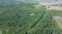 Rge Rd 163 Rural Saddle Hills County, AB T0H 0H0