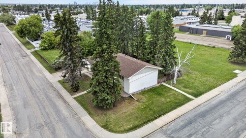 Corner lot property featuring a single-story structure with a brown shingle roof, white siding, and several mature evergreen trees - 13920 64 Street, Edmonton, AB 