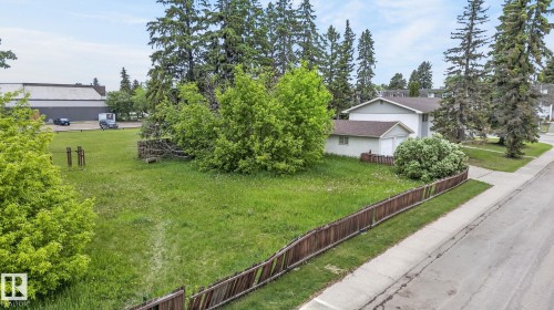 Expansive grassy lot bordered by a wood fence, mature evergreen trees, and various deciduous shrubs - 13920 64 Street, Edmonton, AB 