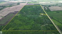 Rge Rd 163 Rural Saddle Hills County, AB T0H 0H0