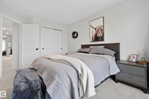Neutral-toned bedroom featuring light grey walls and light-colored carpet flooring - 22836 94 Avenue, Edmonton, AB 
