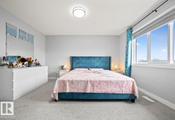 Spacious bedroom featuring light grey walls, light grey carpeting, a large multi-pane window with a dark curtain rod, and a flush-mount ceiling light fixture - 