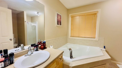 4609 163A Avenue Nw, Edmonton, AB 