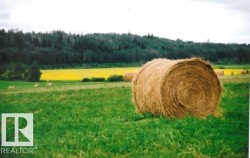 15 53304 RGE ROAD 32 Rural Parkland County, AB T0E 0H0