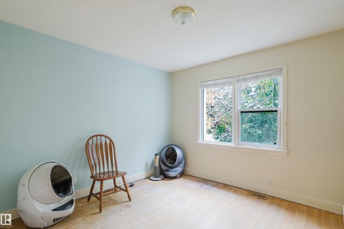 Room with light blue and off-white painted walls, featuring a double window with white trim, a ceiling-mounted light fixture, and wood-finish flooring - 11158 65 Street, Edmonton, AB 