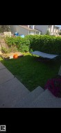 Enclosed backyard featuring a manicured lawn, established privacy hedges, and raised garden beds - 