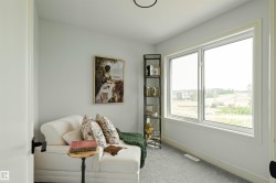 Room with light gray walls, white trim, and light gray carpeted flooring - 