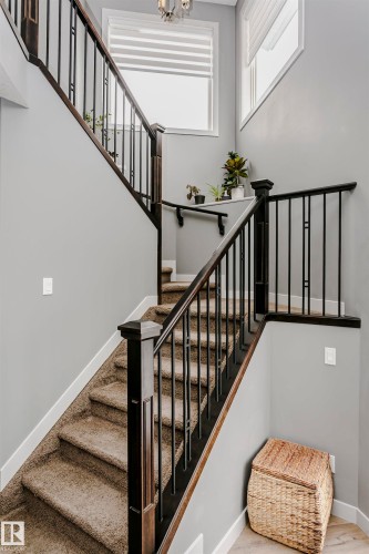 Staircase featuring dark wood handrails, wrought iron balusters, light gray wall paint, and natural light from upper windows - 21807 97 Avenue, Edmonton, AB 