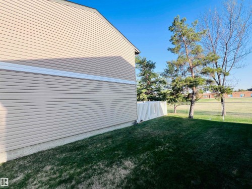 Expansive grassy area with mature evergreen trees and a light-colored privacy fence - 2544 79 Street, Edmonton, AB - Outdoor