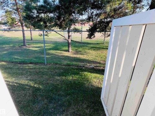 Chain link fencing enclosing a grassy area with mature pine trees - 2544 79 Street, Edmonton, AB - Outdoor