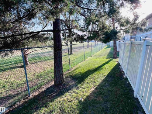 Expansive grassy area featuring a chain-link fence, mature trees, and a white privacy fence - 2544 79 Street, Edmonton, AB - Outdoor